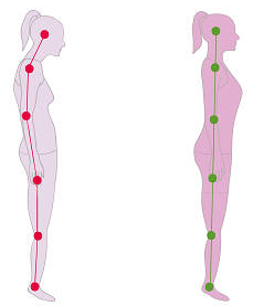 正しい姿勢を維持できる 骨盤矯正ストレッチ 日本姿勢予防医学協会